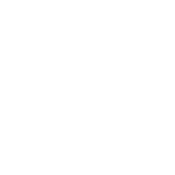 Inicio 8 servicio asistencia